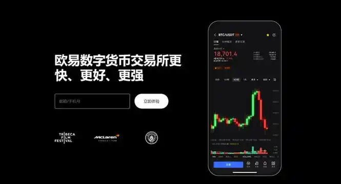 TpayAPP下载平台展示图